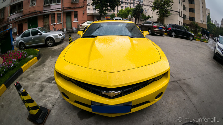 Camaro