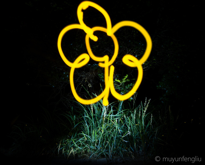 light-painting-4